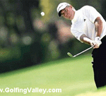chipping-tips