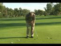 puttingvideos
