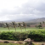 windy-golf windy-golf